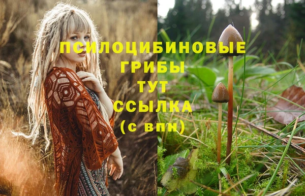 соль курить ск Арсеньев