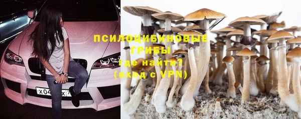 соль курить ск Арсеньев